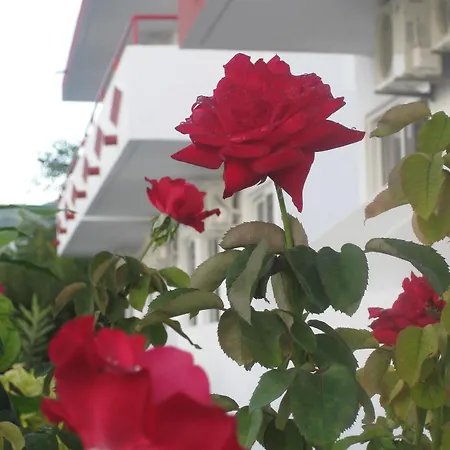 Stenna Apartment *